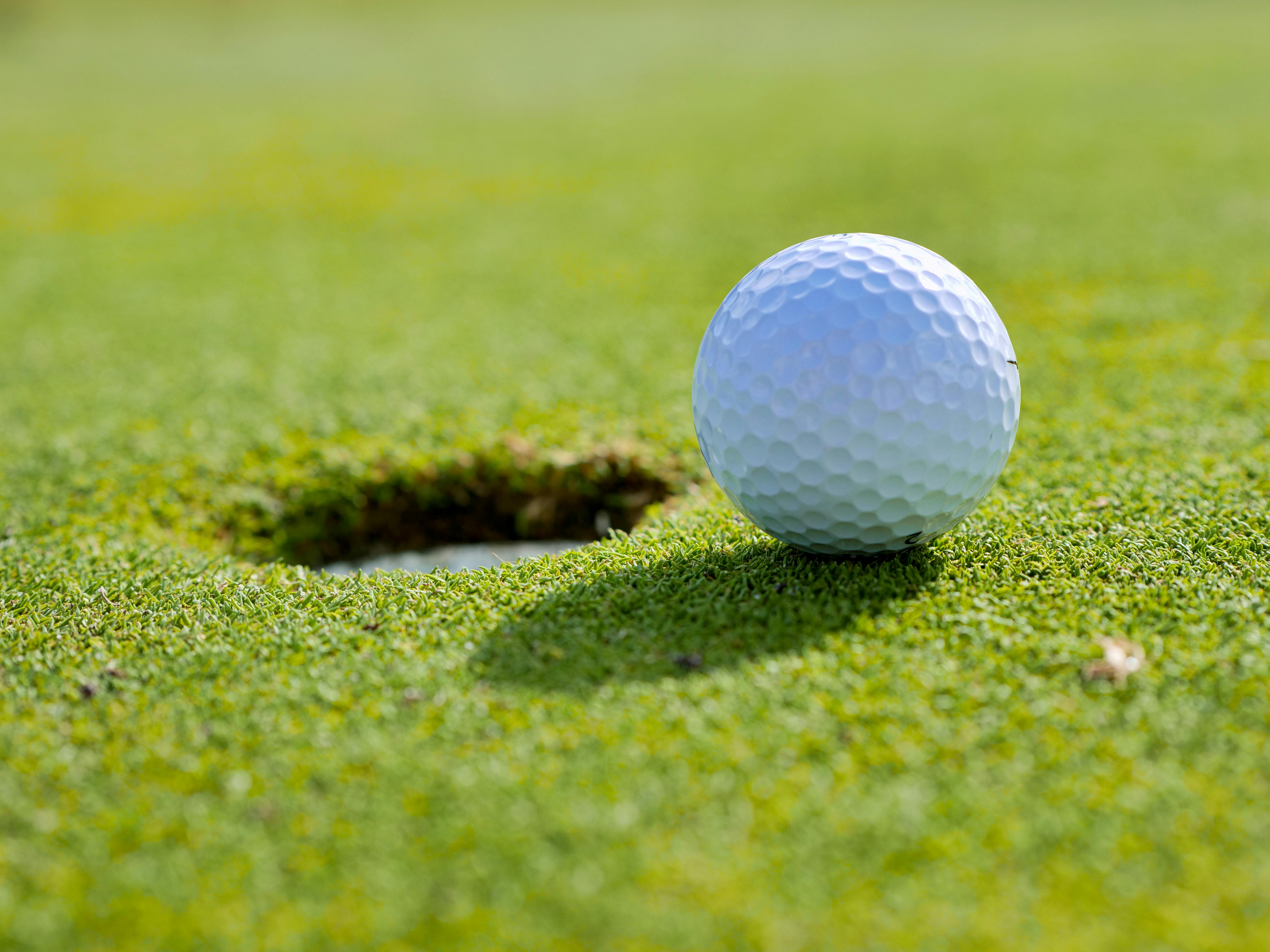 Golf Manager screenshot